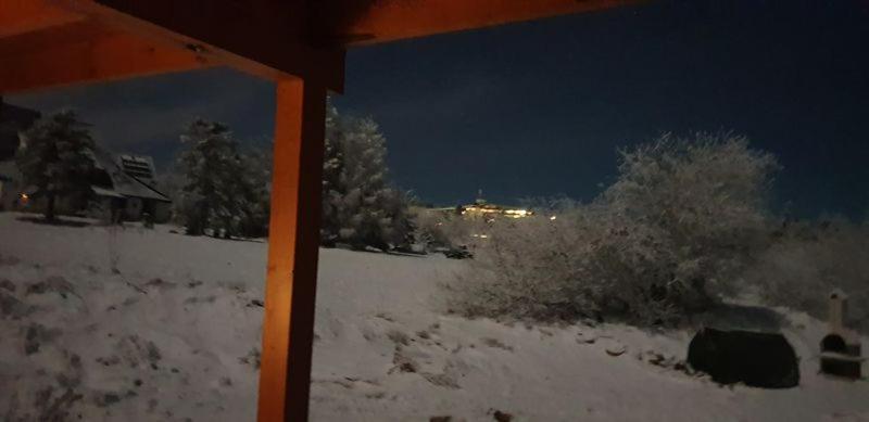 Holzblockhaus Magdalena Villa Altenberg  Kültér fotó