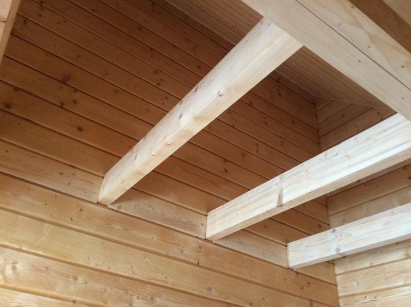 Holzblockhaus Magdalena Villa Altenberg  Kültér fotó